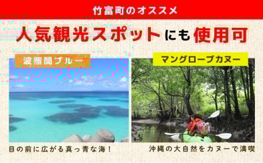 沖縄県竹富町 日本旅行 地域限定旅行クーポン 150,000円分（Eメール発行）【チケット 旅行 宿泊券 ホテル 観光 旅行 旅行券 交通費 体験 宿泊 夏休み 冬休み 家族旅行 ひとり カップル 夫婦 親子 トラベルクーポン 竹富町旅行】 150,000円分（Eメール発行）