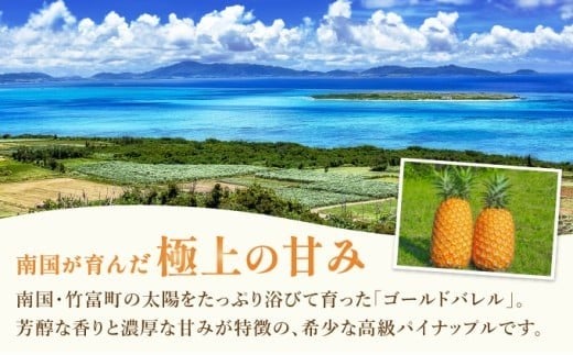 高級感No.1！開発に30年・栽培に3年。パイナップルの最高峰ゴールドバレル2.5kg(2～3玉) 2.5kg(2～3玉)