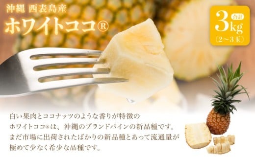 リピーター続出の希少種パイン！　数量限定販売　先行予約　パイナップル　沖縄　西表島　熟鮮ホワイトココ(R)　3㎏　2～3玉　ココナッツに似た香り　果物　フルーツ　デザート