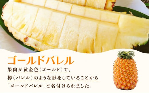 2026年 先行予約 完熟 ゴールドバレル 約3kg 2～4玉入り 最高級 パイン 果物 フルーツ 約3kg (2～4玉入り)