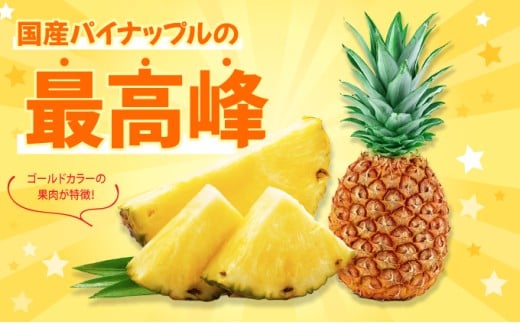 パイナップル ゴールドバレル 約6kg 4～8玉 パイン 果物 フルーツ 沖縄 西表島【TOK:iふぁーむ】配送不可：離島028-a003_2026 【約6kg】　4～8玉