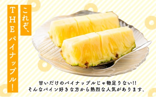 2026年 先行予約 島パイン (ハワイ種) 約2.5kg（2～3玉） パイナップルの王道 西表島産 パイン 果物 フルーツ 約2.5kg（2～3玉）