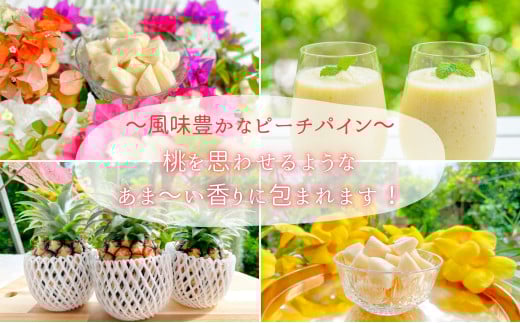 ☆新感覚の味わい☆桃のような芳醇な香りのする　『西表島産完熟ピーチパイン』 約2.5kg（3～4個入） 約2.5kg（3～4個入）