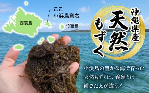 小浜島の豊かな海で育ったもずく（味付け）6パック 300g×6パック