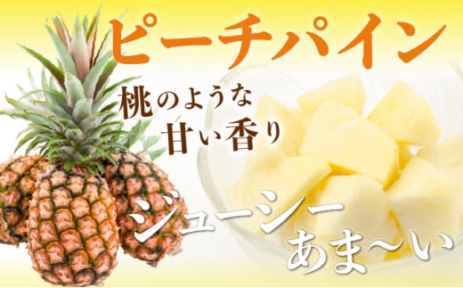＜訳あり！＞2026年 先行予約 大きさ不揃い お得！箱にいっぱいピーチパイン9kgセット 約９kg