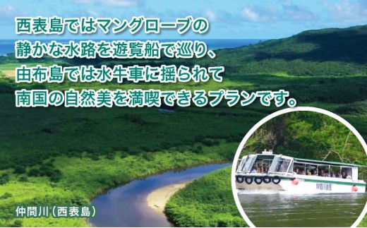 西表島・由布島を巡る日帰りツアー　
～マングローブ遊覧＋水牛車＋由布島たっぷり90分＜石垣島発着／半日／昼食／送迎＞【 旅行 体験チケット観光 大自然 体験ツアー 観光 沖縄 アクティビティ 水牛 牛車 】