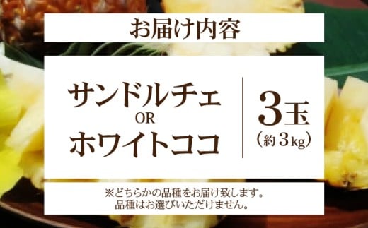 新品種パイン　『サンドルチェ』または『ホワイトココ』３玉セット　約３ｋｇ西表島産