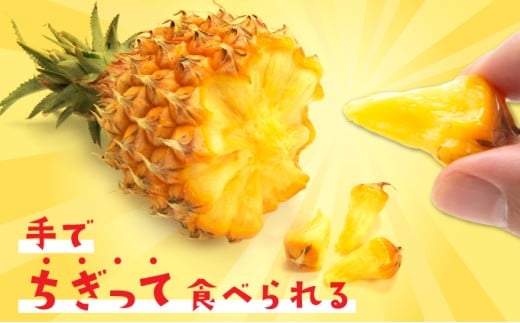 パイナップル スナックパイン 約5kg 4～8玉 パイン 果物 フルーツ 沖縄 西表島【TOK:iふぁーむ】 配送不可：離島028-a007_2026 【約5kg】4～8玉