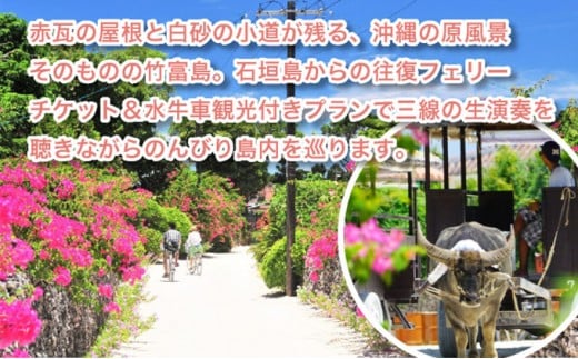 竹富島日帰り観光ツアー　～水牛車で楽しむ竹富島での過ごし方＜半日／指定ホテルお送り＞【 旅行 体験チケット観光 大自然 体験ツアー 観光 沖縄 アクティビティ】