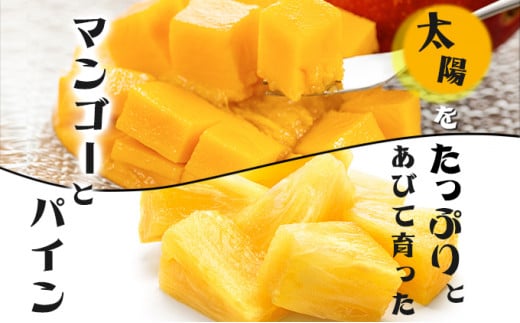 2026年 先行予約 パイン マンゴー セット トロピカルフルーツセット ますみ農園 果物