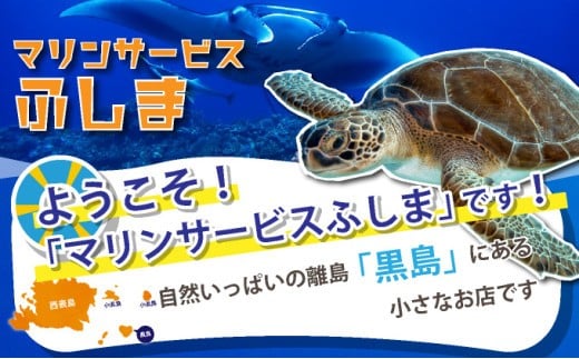 「マリンサービスふしま」で使えるクーポン券 3,000円分 クーポン券 3,000円分