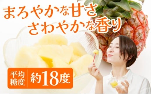 《2026年 先行予約》ピーチパイン 約3kg 3～6玉 農園ファイミール 完熟 果物 フルーツ 約3kg（3～6玉入り）