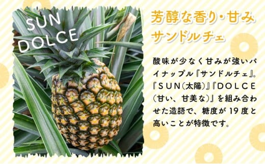 高級パイナップル 芳醇な香りと甘み サンドルチェ 約2.5kg（2～3玉）