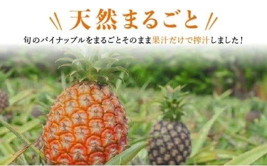 水なし、加熱なし、砂糖なし！天然まるごと！完熟生パイナップル冷凍ピューレ200ml×65本セット 200ml×65本