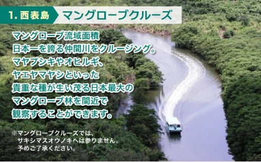 大人気の3島めぐりツアー 西表島・由布島・竹富島を満喫する日帰りツアー マングローブ遊覧＋水牛車＋選べる竹富島での過ごし方＜1日／昼食付＞【 旅行 体験チケット観光 大自然 体験ツアー 観光 沖縄 アクティビティ 】
