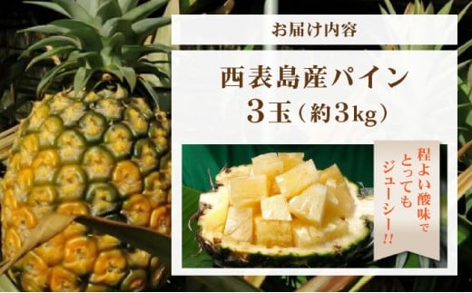 日本最南端のパイン３玉セット　約３ｋｇ　西表島産