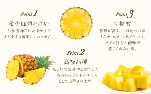熟鮮サンドルチェ(R)2㎏（2玉）と甘さをぎゅっと詰め込んだ100％パイナップルジュース1本　パイン　果物　フルーツ