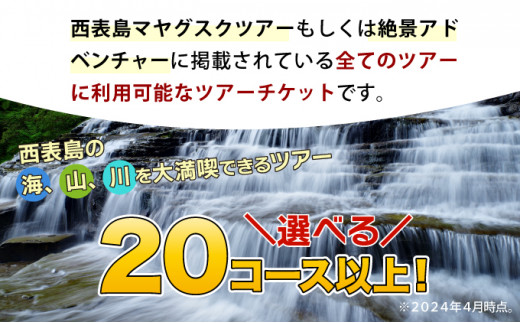 旅行券 沖縄 チケット 西表島 アクティビティ ツアーチケット 3,000円 旅行クーポン 旅行 体験 観光 クーポン 3,000円分