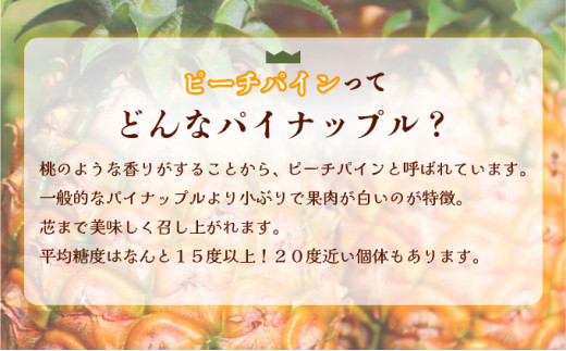 穫れたて新鮮冷凍！西表島の完熟ピーチパイン 4.8kg(400g×12袋) 嘉本商店 完熟 果物 フルーツ 約4.8kg(400g×12袋)　