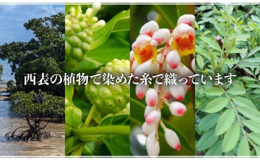 ブックカバー 【 ブックカバー 本 カバー 西表島 ミンサー ミンサー織り 】