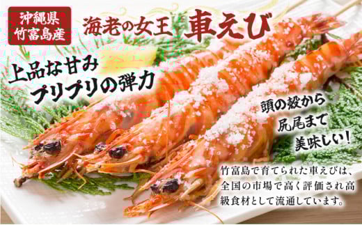 訳あり 竹富島産 冷凍車えび 規格外品  1kg【海老 車エビ エビ 車海老  1kg 竹富島産 冷凍】 1kg