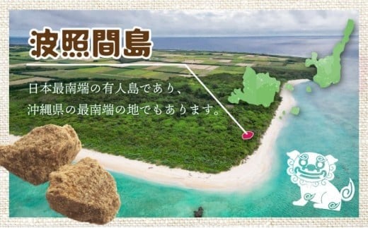 純黒糖 波照間黒糖 粉末　250ｇ 10袋 粉末