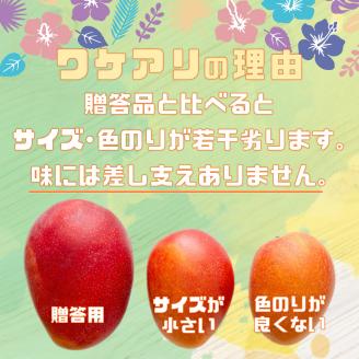 2026年 先行予約 訳あり 完熟 アップルマンゴー 2L 350g～460g 2玉 マンゴー 果物 デザート 品評会連続入賞 2026年 発送 ますみ農園 005-a015_2026