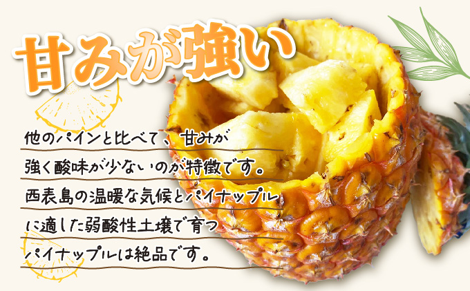 2026年 先行予約 パイン ゴールドバレル 約3kg 2～4玉 ますみ農園 甘み たっぷり パイナップル 果物 フルーツ 005-a001_2026