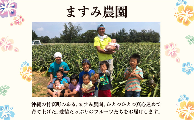 2026年 先行予約 アップルマンゴー 約4kg (8～12玉) 完熟 マンゴー ますみ農園 果物 フルーツ 005-a008_2026