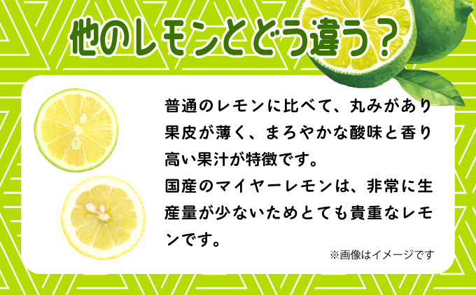 まとめてお得、果汁たっぷり マイヤーレモン（島レモン）約5kg 5kg
