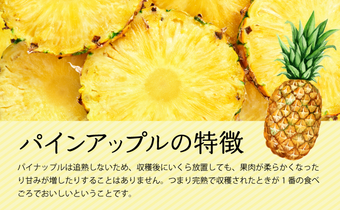 2026年 先行予約 セット 黒糖 完熟 パイン 水鴨農園 西表島産 パイナップル 果物 フルーツ 020-a004_2026