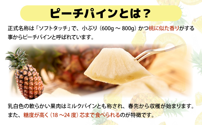 【2026年発送】リピータ続出！西表パイン園の蜜入り ピーチパイン8kgセット[022-a003_2026]