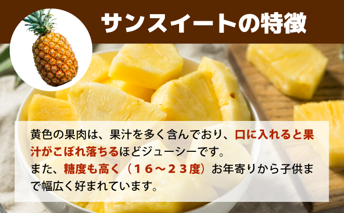 【2026年5月～7月（全3回発送）】南国の美味しさを！パイナップル 定期便 B[022-a004_2026]