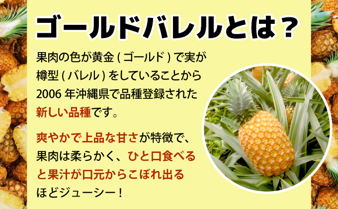 【2026年発送】ゴールドバレルビッグな１玉セット[022-a013_2026]