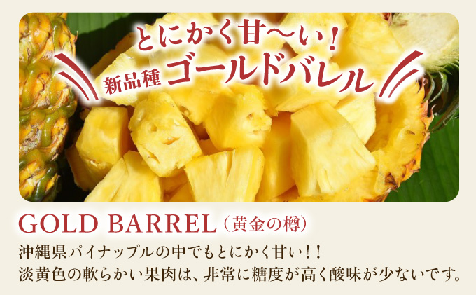 【JASオーガニック】 プレミアムゴールドバレル 約3kg 2～5玉 023-a009_2026