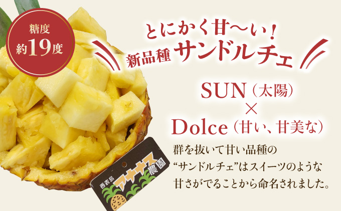 2024年 先行予約 パイナップル ついに実現！ 栽培期間中 完全有機 無農薬 アナナスドルチェ 約2.5kg 2～4玉 果物 フルーツ