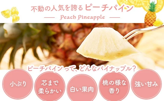 2026年 先行予約 ピーチパイン 約3kg 4～5玉 甘熟 西表島ふる～つらんど 不動の人気No.1 果物 フルーツ パイン 026-a001_2026