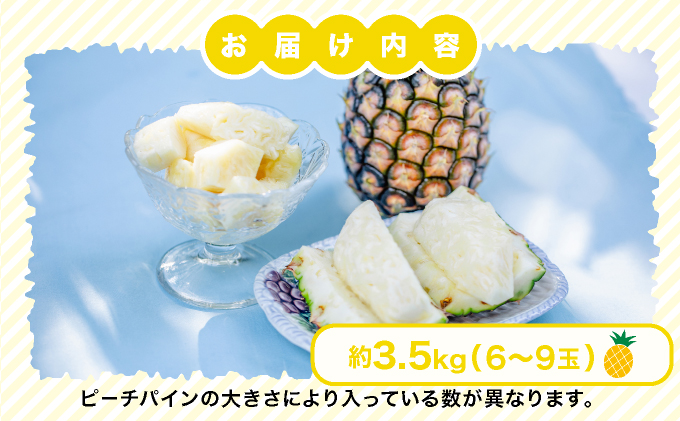 2026年 先行予約 小玉 ピーチパイン 約3.5kg 6～9玉 ★西表島ふる～つらんど★美味しさギュッと！ 果物 フルーツ パイン 026-a003_2026