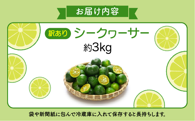 訳あり 2026年 先行予約 青切り シークヮサー 約3kg ☆西表島ふる～つらんど☆ 果物 フルーツ 026-a008_2026