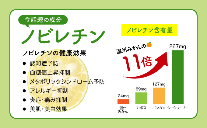 訳あり 2025年 先行予約 青切り シークヮサー 約4kg ☆西表島ふる～つらんど☆ 果物 フルーツ