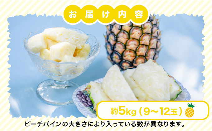 2026年 先行予約 小玉 ピーチパイン 約5kg 9～12玉 ★西表島ふる～つらんど★美味しさギュッと！ 果物 フルーツ パイン