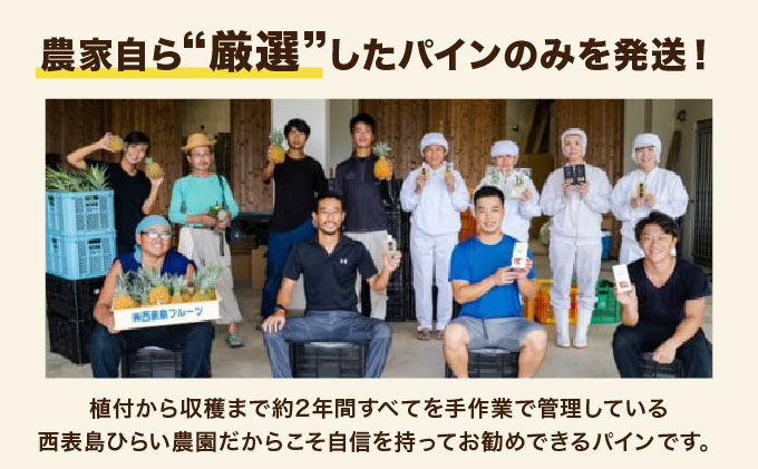 2026年 先行予約 スナックパイン 約7kg 10玉 西表島ひらい農園 パイナップル 果物 フルーツ パイン 027-a011_2026