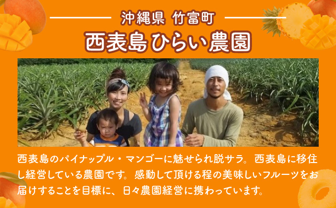 マンゴー 先行予約 沖縄 アップルマンゴー 約4kg 8玉～12玉 西表島 ひらい農園 2026年 発送 果物 フルーツ デザート 完熟 濃厚 027-a027_2026