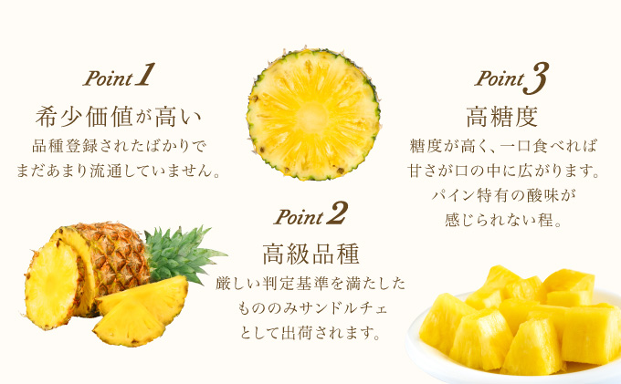 熟鮮サンドルチェ(R) 3kg(2～3玉 )2026年 先行予約 パイン沖縄 西表島産 レア品種 沖縄 西表島産 果物 フルーツ [029-a004_2026]