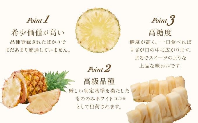 リピーター続出の希少種パイン！　数量限定販売　先行予約　パイナップル　沖縄　西表島　熟鮮ホワイトココⓇ　3㎏　2～3玉　ココナッツに似た香り　果物　フルーツ　デザート[029-a009_2026]