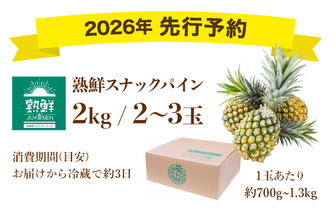【手でちぎって食べる楽しさ】熟鮮スナックパイン2kg（2～3玉）2026年 先行予約　沖縄　西表島[029-a017_2026]