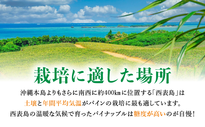 アララガマ農園発祥のピーチパイン。香り高く女性人気NO.1！国内流通量1％未満、幻の完熟ピーチパイン　ピーチパイン2kg（2～4玉） 030-a001_2026