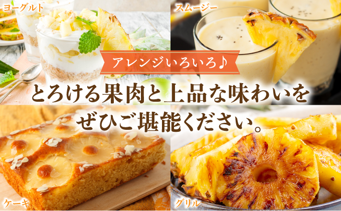 高級感No.1！開発に30年・栽培に3年。パイナップルの最高峰ゴールドバレル2.5kg(2〜3玉)