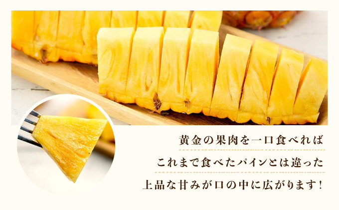 2026年 先行予約 完熟 ゴールドバレル 約3kg 2～4玉入り 最高級 パイン 果物 フルーツ  031-a001_2026