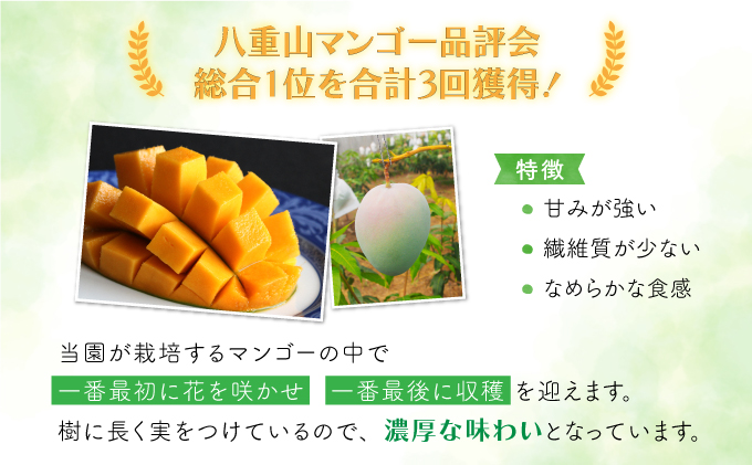 2026年 先行予約 マンゴー 約1.8kg 2～4玉 希少品種濃密 キーツマンゴー 高糖度保証！農園ファイミール 果物 フルーツ  031-a010_2026